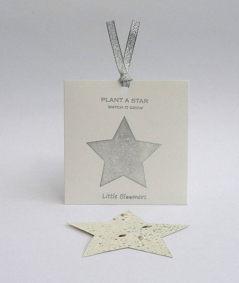 little bloomers plantable favours by plant a bloomer